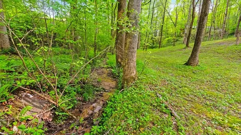118 Ringtail Run Murphy NC 28906