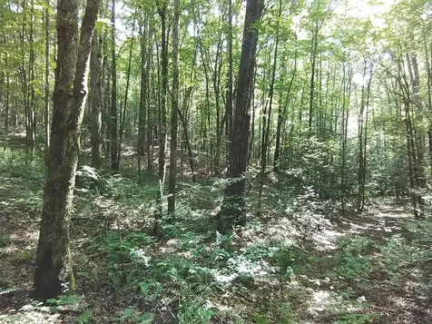 1378S Morrow Road Murphy NC 28906