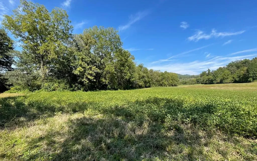 37+ Ac Jarrett Road Hayesville NC 28904