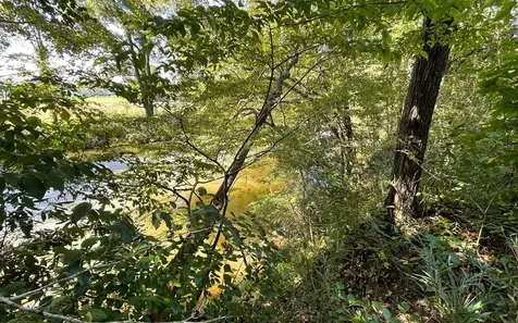 37+ Ac Jarrett Road Hayesville NC 28904