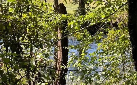 37+ Ac Jarrett Road Hayesville NC 28904