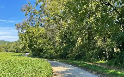 37+ Ac Jarrett Road Hayesville NC 28904