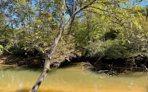 37+ Ac Jarrett Road Hayesville NC 28904