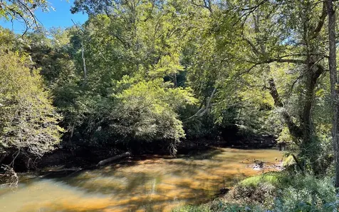 37+ Ac Jarrett Road Hayesville NC 28904