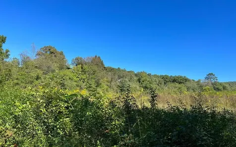 37+ Ac Jarrett Road Hayesville NC 28904