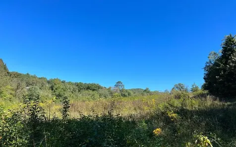 37+ Ac Jarrett Road Hayesville NC 28904