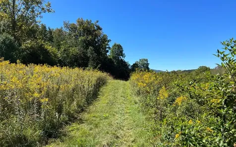 37+ Ac Jarrett Road Hayesville NC 28904