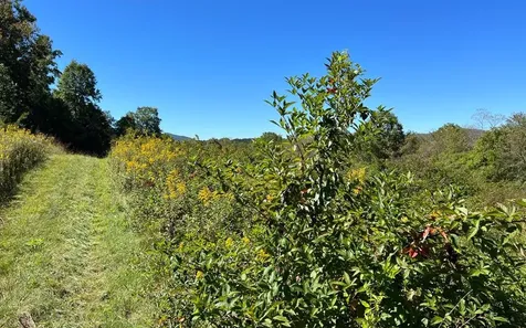 37+ Ac Jarrett Road Hayesville NC 28904