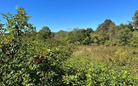 37+ Ac Jarrett Road Hayesville NC 28904