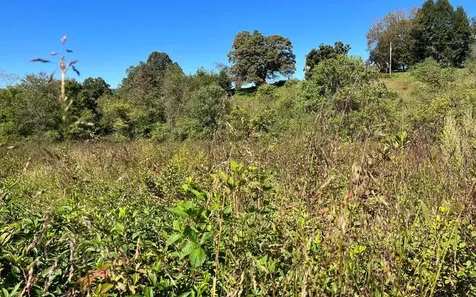 37+ Ac Jarrett Road Hayesville NC 28904
