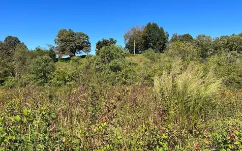 37+ Ac Jarrett Road Hayesville NC 28904