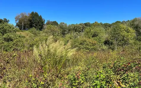37+ Ac Jarrett Road Hayesville NC 28904