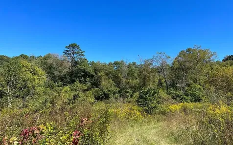 37+ Ac Jarrett Road Hayesville NC 28904