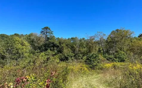 37+ Ac Jarrett Road Hayesville NC 28904