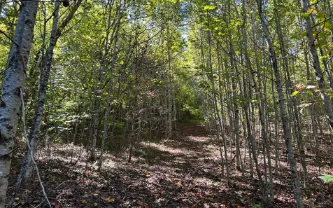 37+ Ac Jarrett Road Hayesville NC 28904