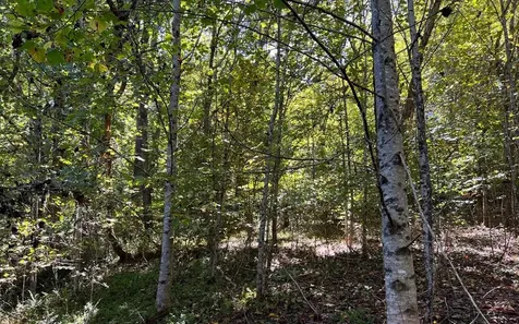 37+ Ac Jarrett Road Hayesville NC 28904