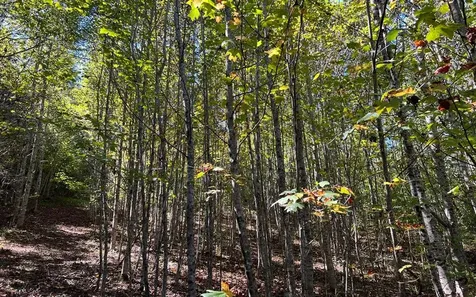 37+ Ac Jarrett Road Hayesville NC 28904