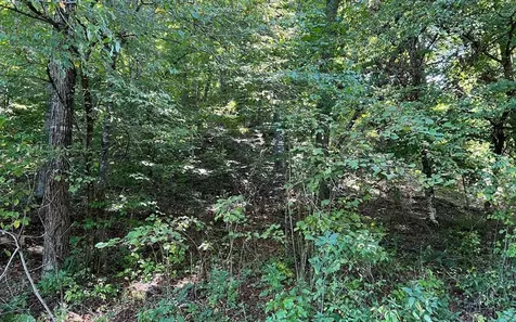 37+ Ac Jarrett Road Hayesville NC 28904