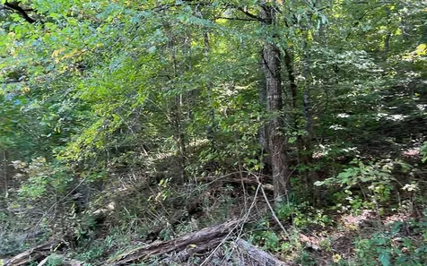 37+ Ac Jarrett Road Hayesville NC 28904