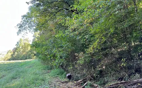 37+ Ac Jarrett Road Hayesville NC 28904