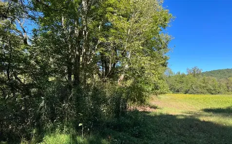 37+ Ac Jarrett Road Hayesville NC 28904