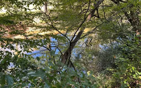 37+ Ac Jarrett Road Hayesville NC 28904