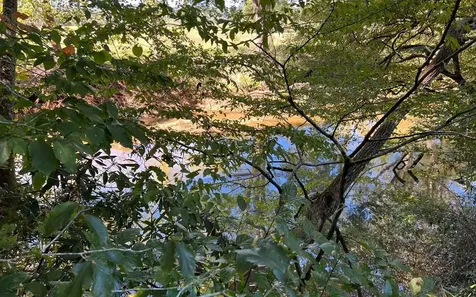 37+ Ac Jarrett Road Hayesville NC 28904