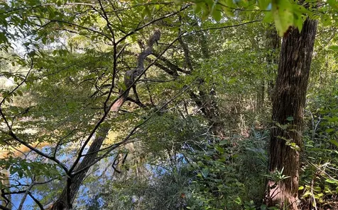 37+ Ac Jarrett Road Hayesville NC 28904