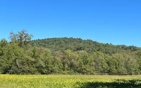 37+ Ac Jarrett Road Hayesville NC 28904