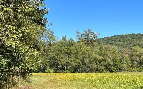 37+ Ac Jarrett Road Hayesville NC 28904
