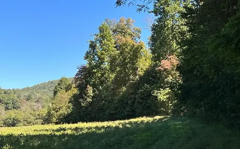 37+ Ac Jarrett Road Hayesville NC 28904