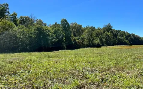 37+ Ac Jarrett Road Hayesville NC 28904