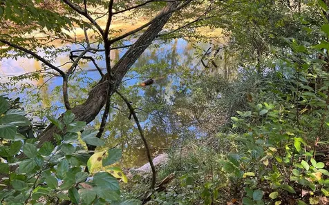 37+ Ac Jarrett Road Hayesville NC 28904
