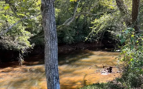 37+ Ac Jarrett Road Hayesville NC 28904