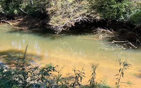 37+ Ac Jarrett Road Hayesville NC 28904