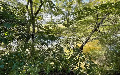 37+ Ac Jarrett Road Hayesville NC 28904