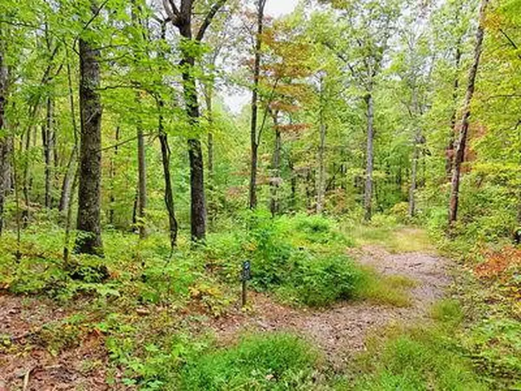 Lot 30 Skyview Drive Hayesville NC 28904