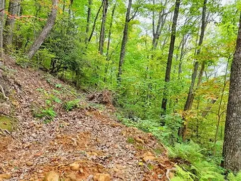Lot 30 Skyview Drive Hayesville NC 28904