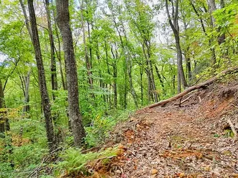 Lot 30 Skyview Drive Hayesville NC 28904