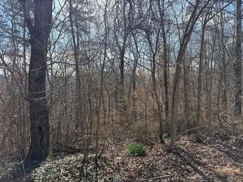 0 Sunrise Street Murphy NC 28906