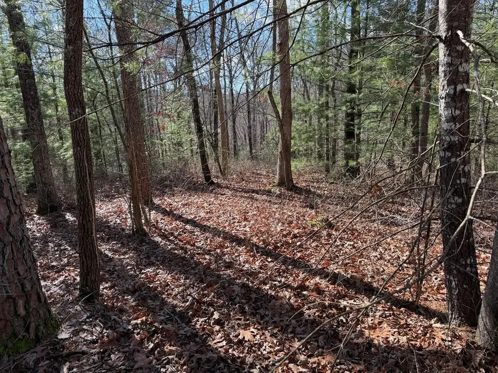 Lot #43 Laurel Drive Murphy NC 28906