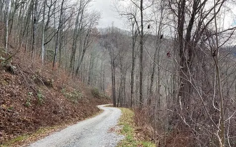 Lot Off Buck Naked Road Bryson City NC 28713
