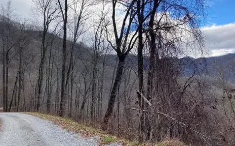 Lot Off Buck Naked Road Bryson City NC 28713