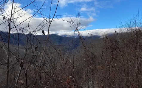 Lot Off Buck Naked Road Bryson City NC 28713