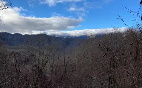 Lot Off Buck Naked Road Bryson City NC 28713