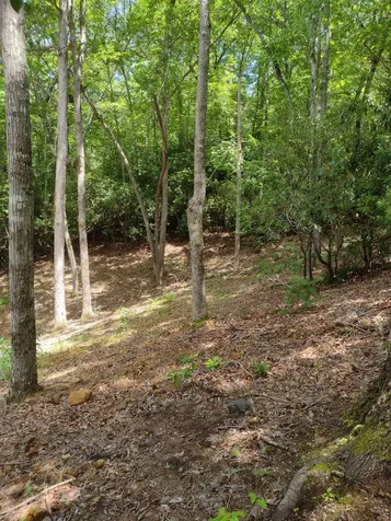 0 Radiant Cove Murphy NC 28902