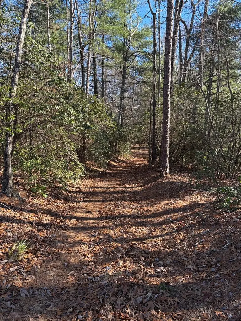 Lot 61 Thundering Hill Murphy NC 28906
