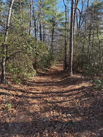 Lot 61 Thundering Hill Murphy NC 28906