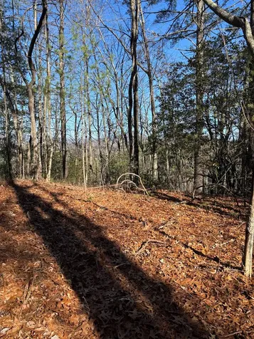 Lot 61 Thundering Hill Murphy NC 28906