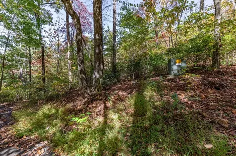 Lot 38 Skyview At Wildlife Acres Hayesville NC 28904